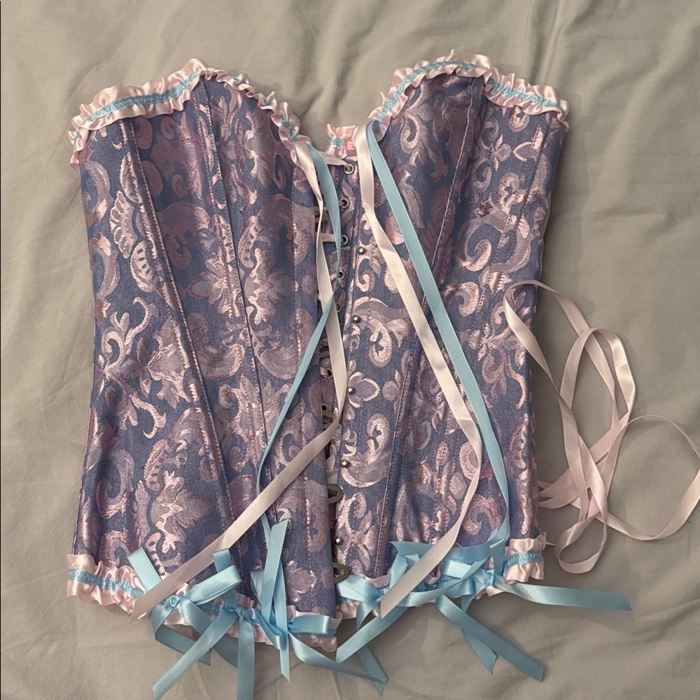 Elegant Pink and Blue Corset